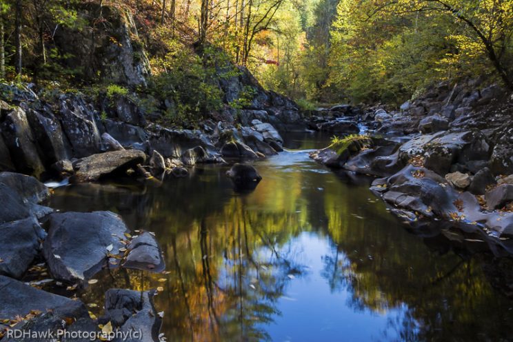 Citico Creek