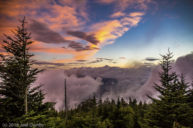 Fog in the Valley