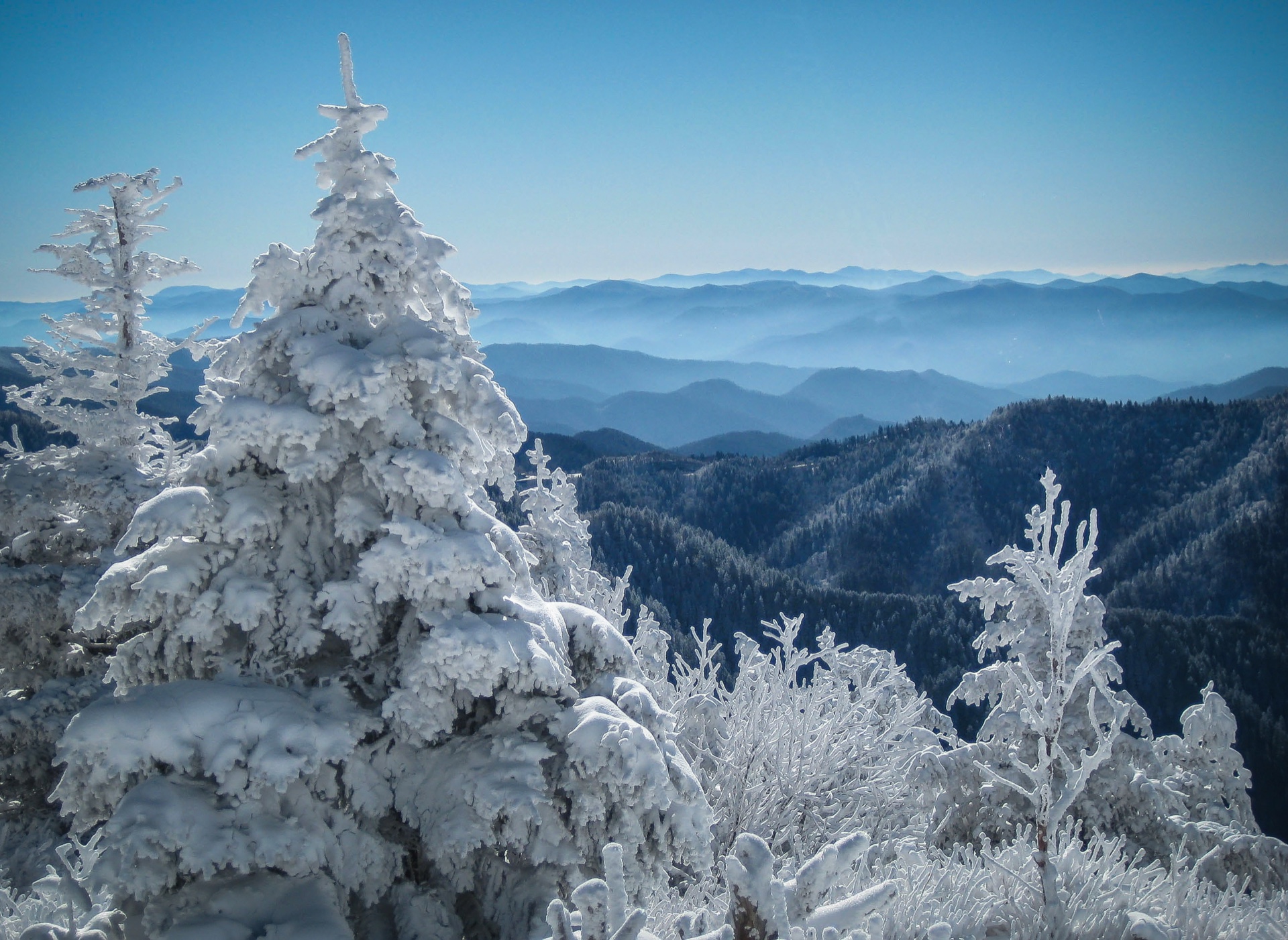 Winter on LeConte-1