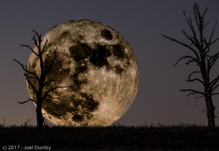 Rising Moon