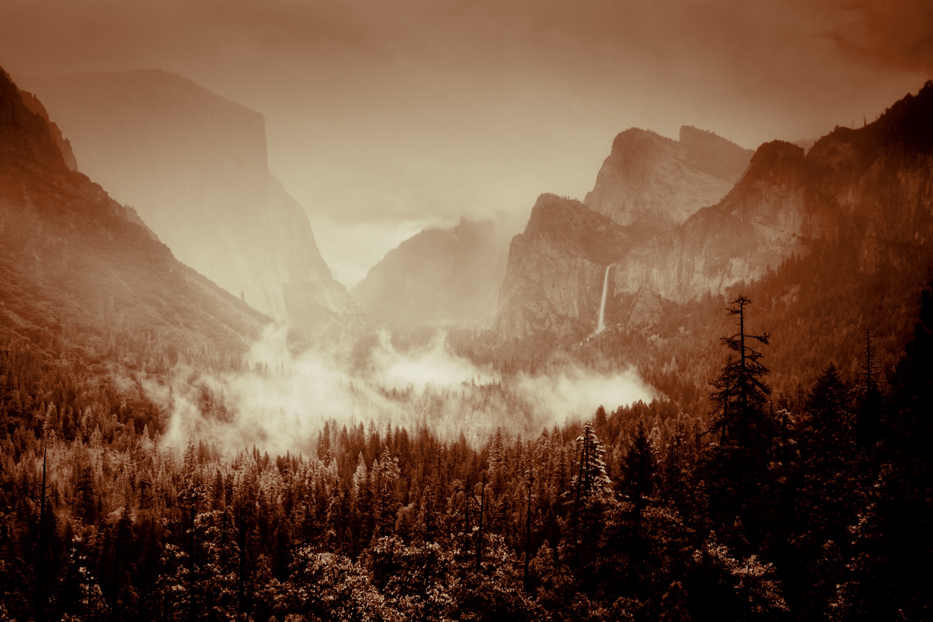 Yosemite Coffee Fog