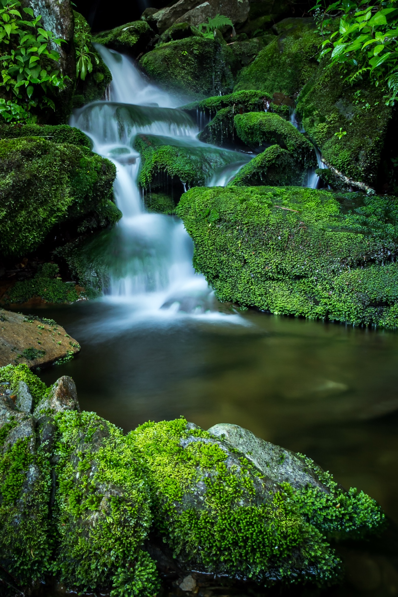 Lower Trentham Falls-1