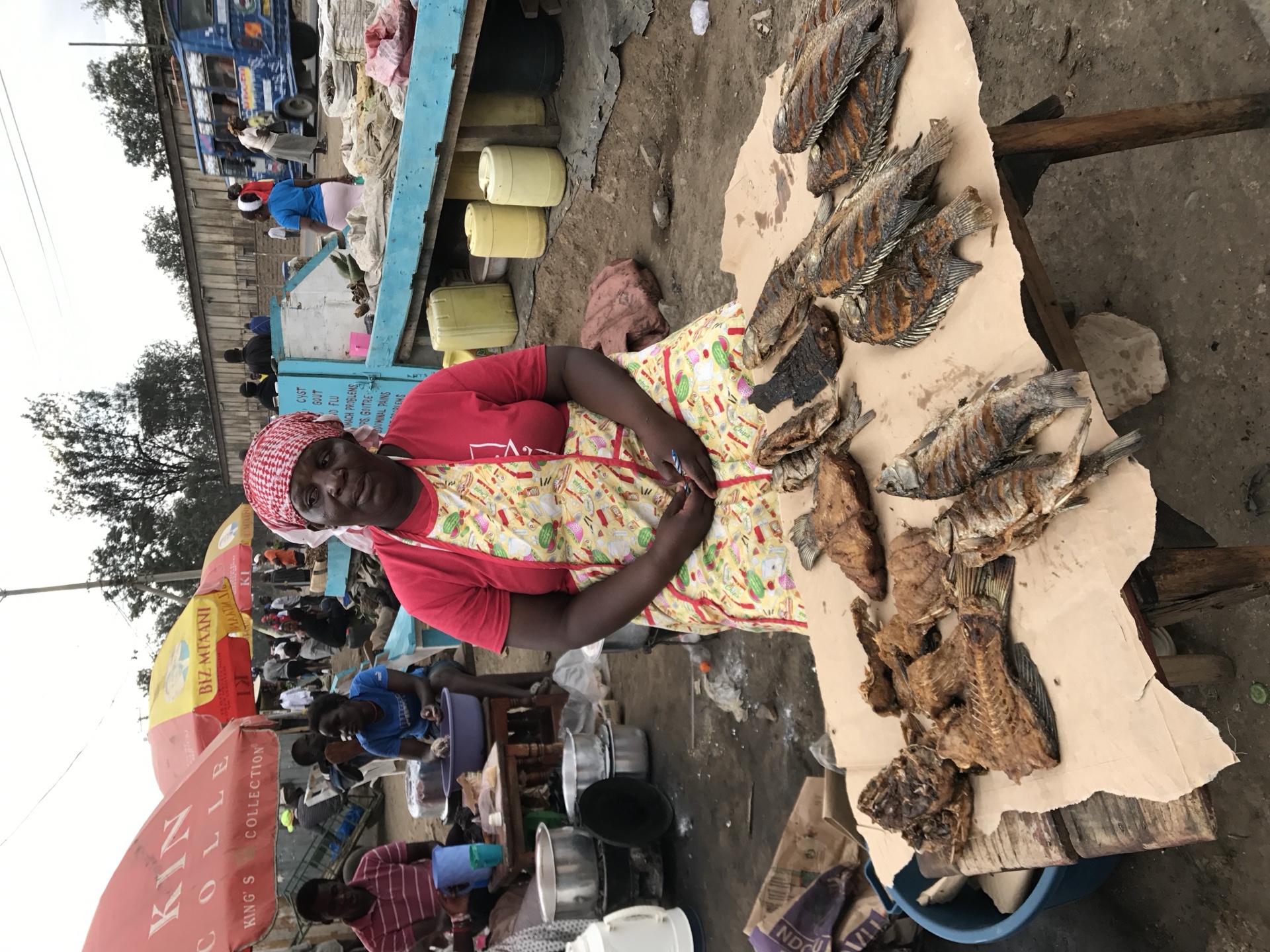 Wonan selling fish, Mathare Valley, Kenya