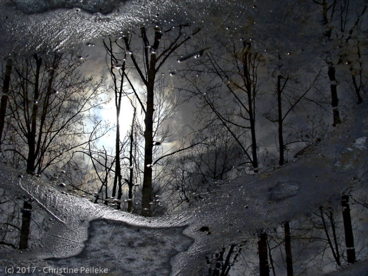 Reflection