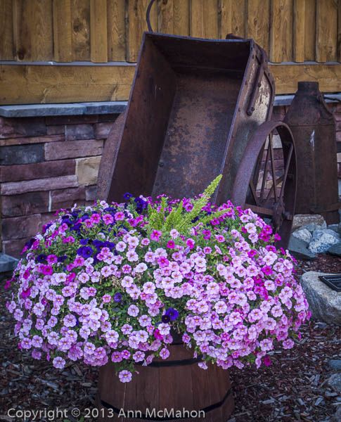 Rust and Blooms