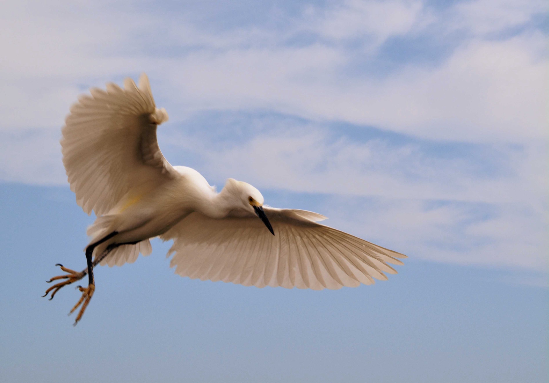 coming in for landing