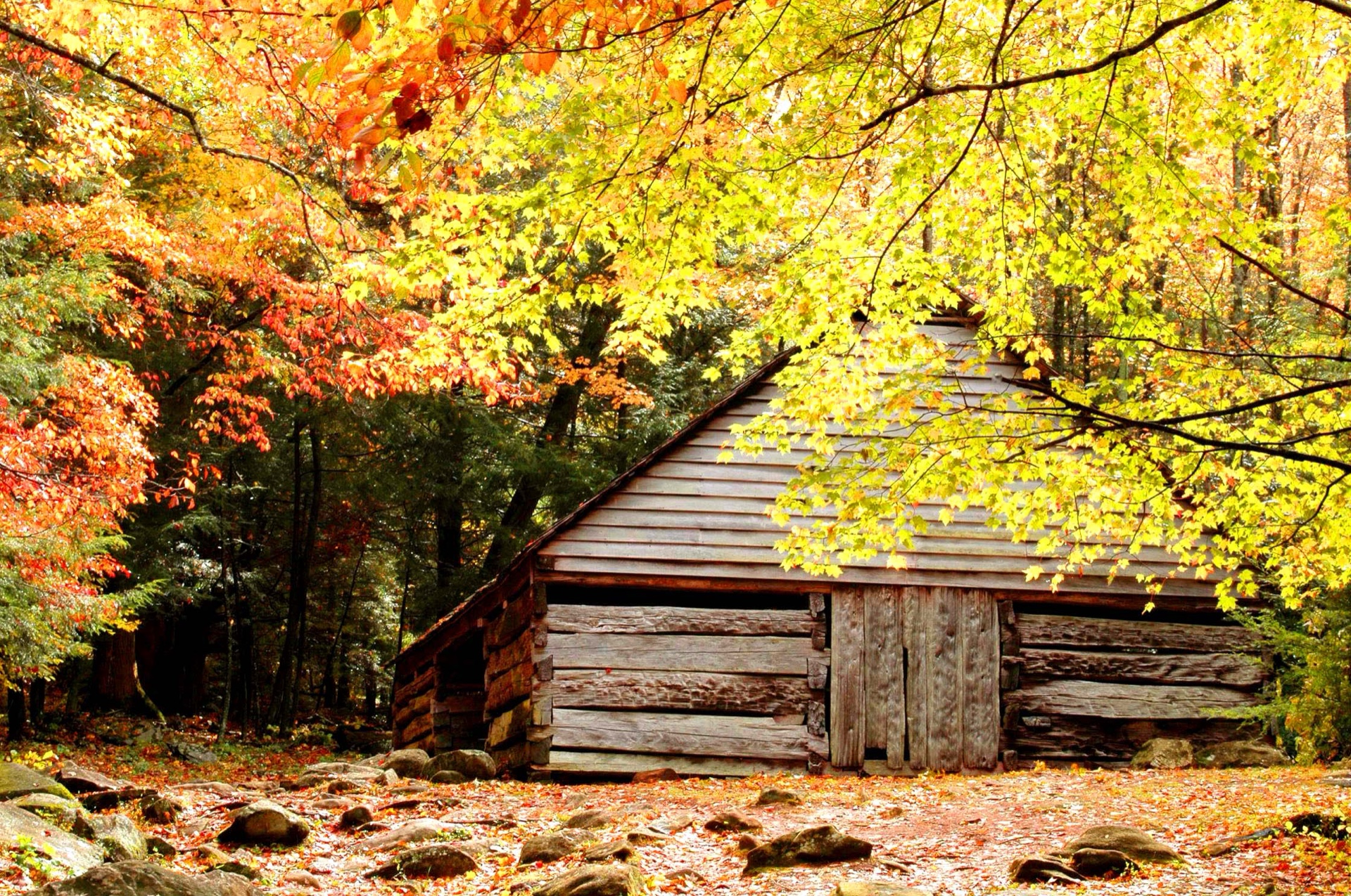 Barn in fall colors