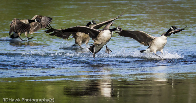 Landing