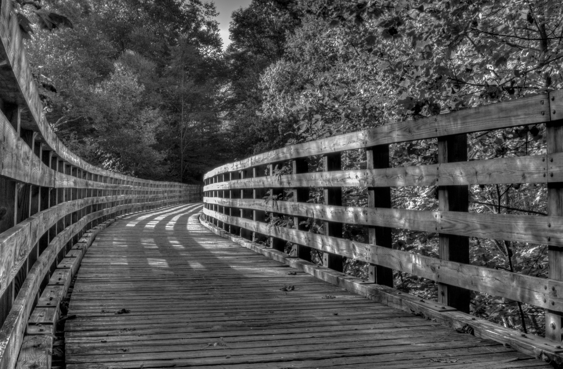 Wodden bridge_jpeg