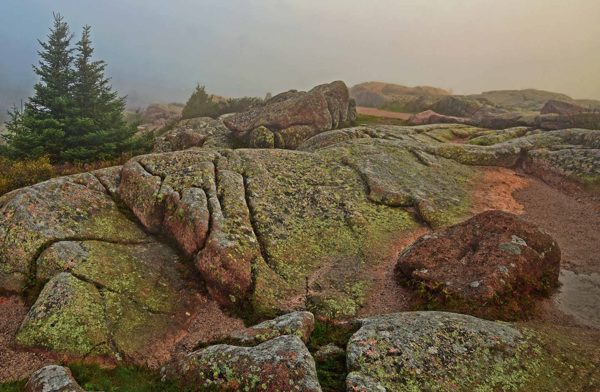 Foggy Cadillac Mtn