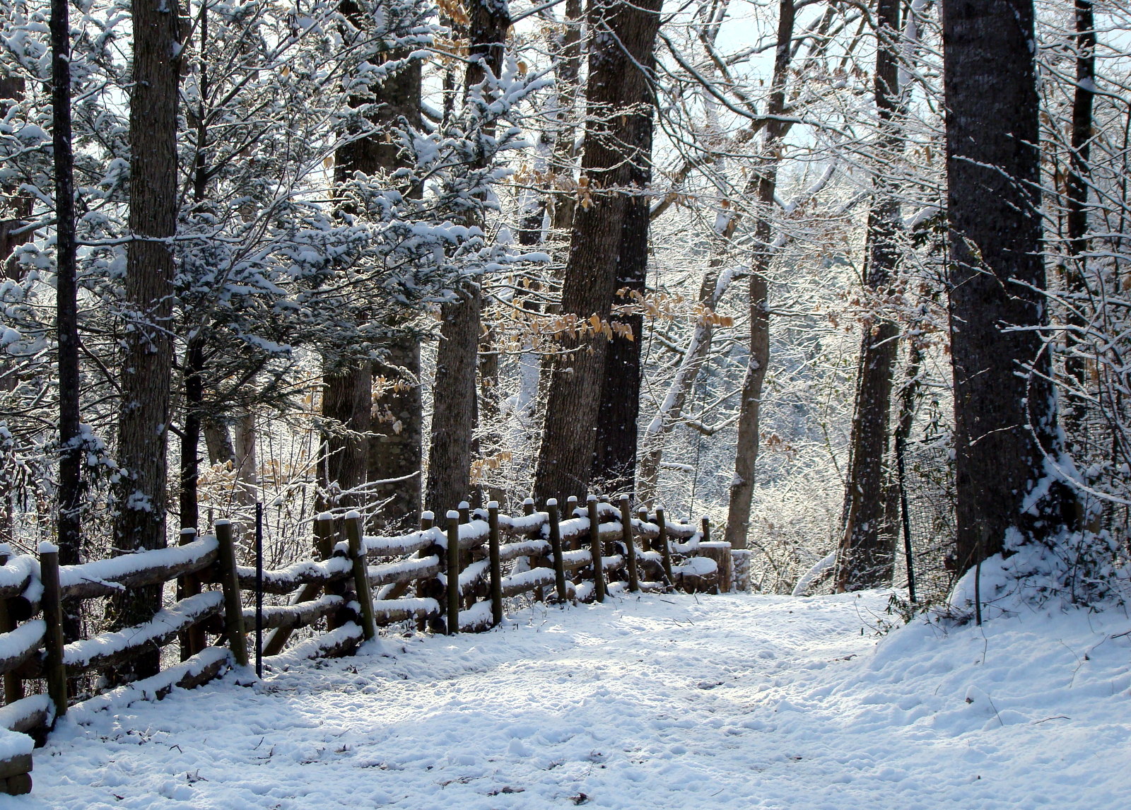 Morning Snow