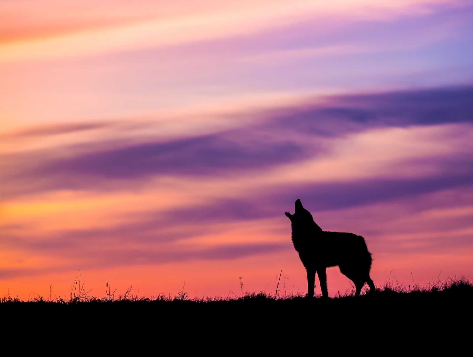 Greeting the Day