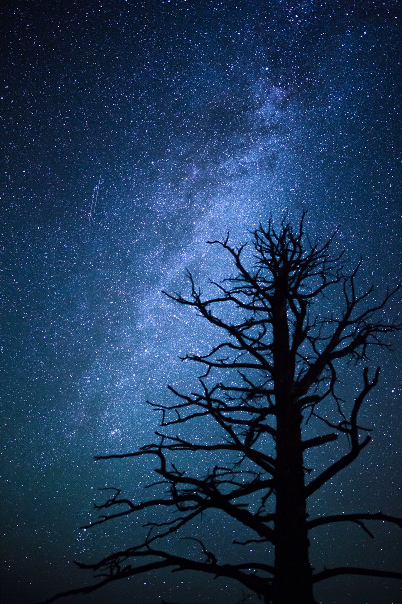 Reaching for the stars