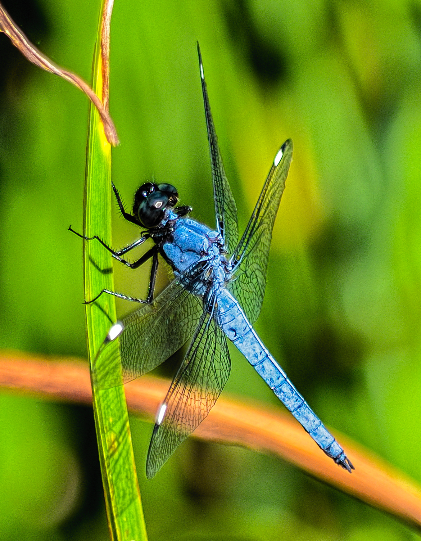At the Pond