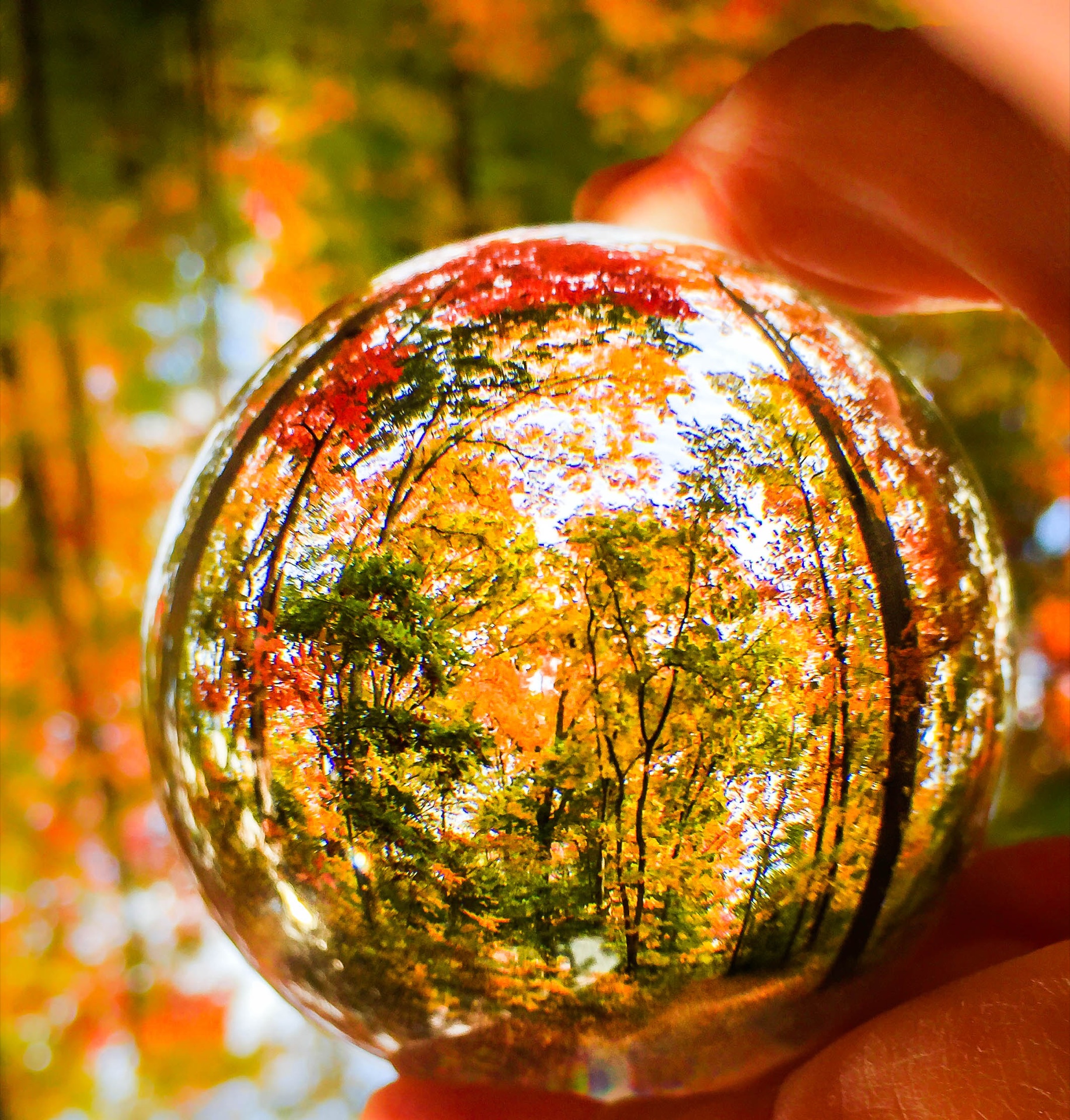 Fall Through My Chrystal Ball-1