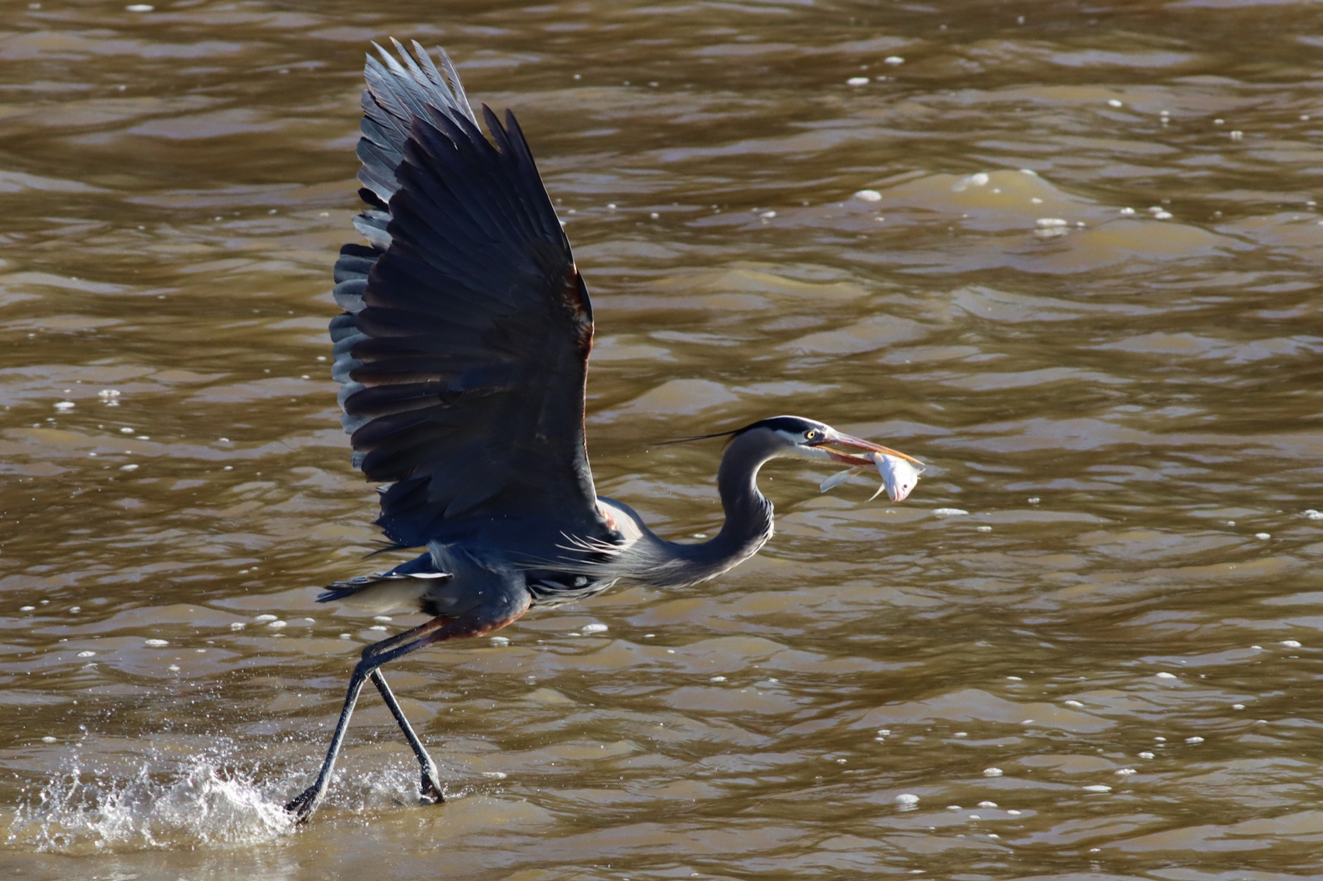 Walking on water