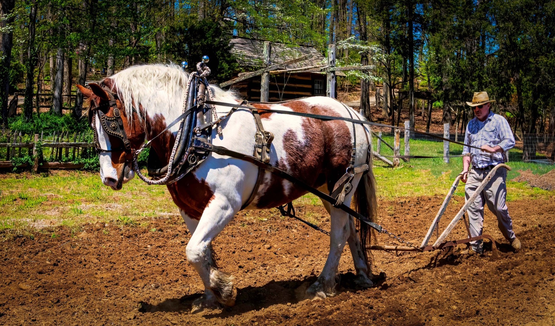 Hot Day to Plow