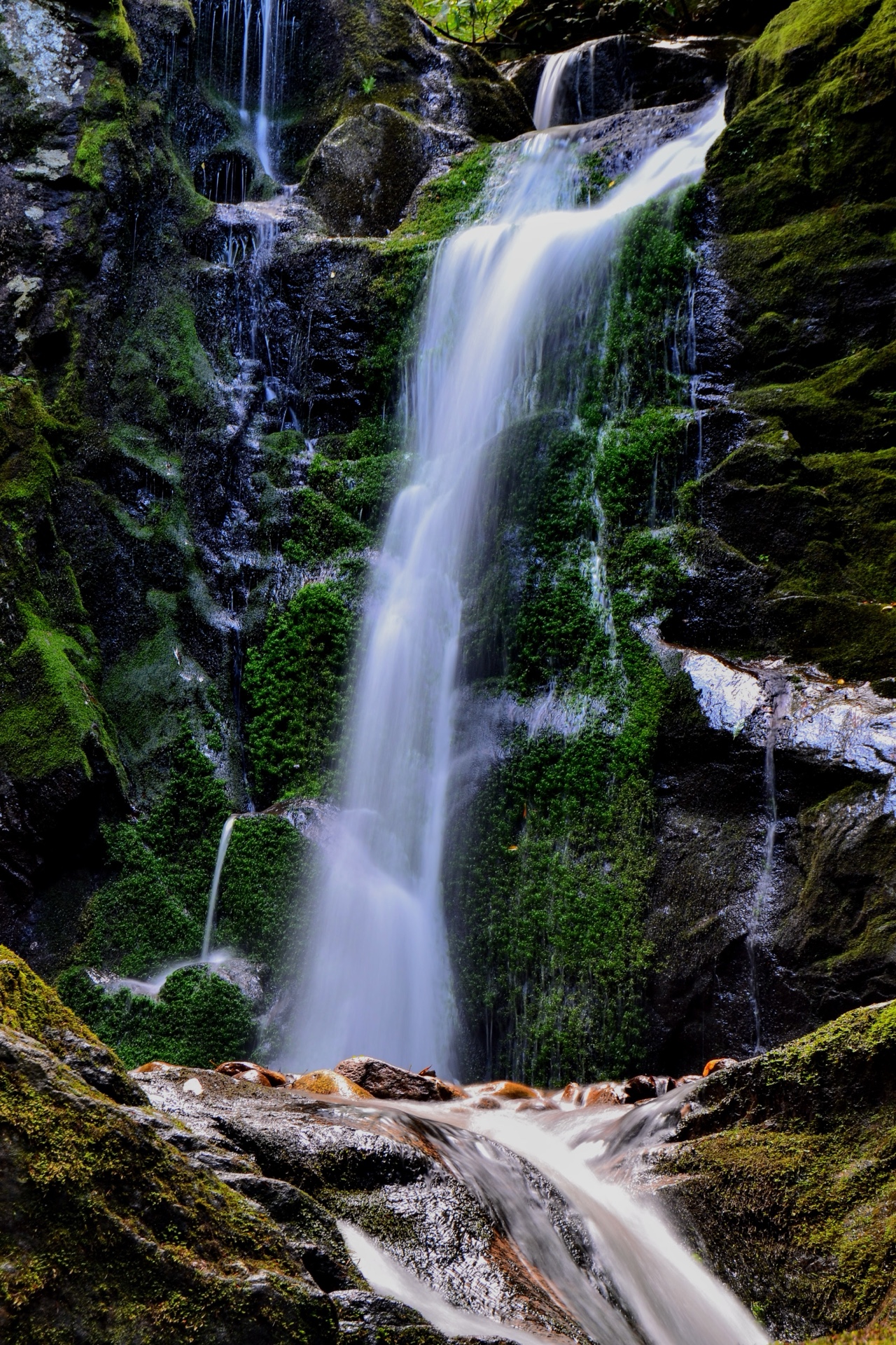 Wolf Creek Falls