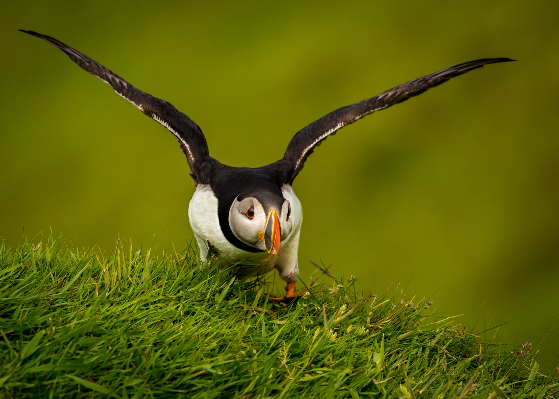 Landing