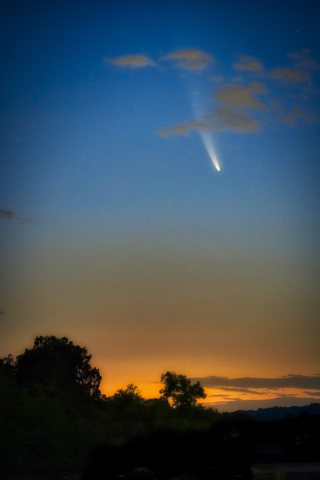 Neowise Comet