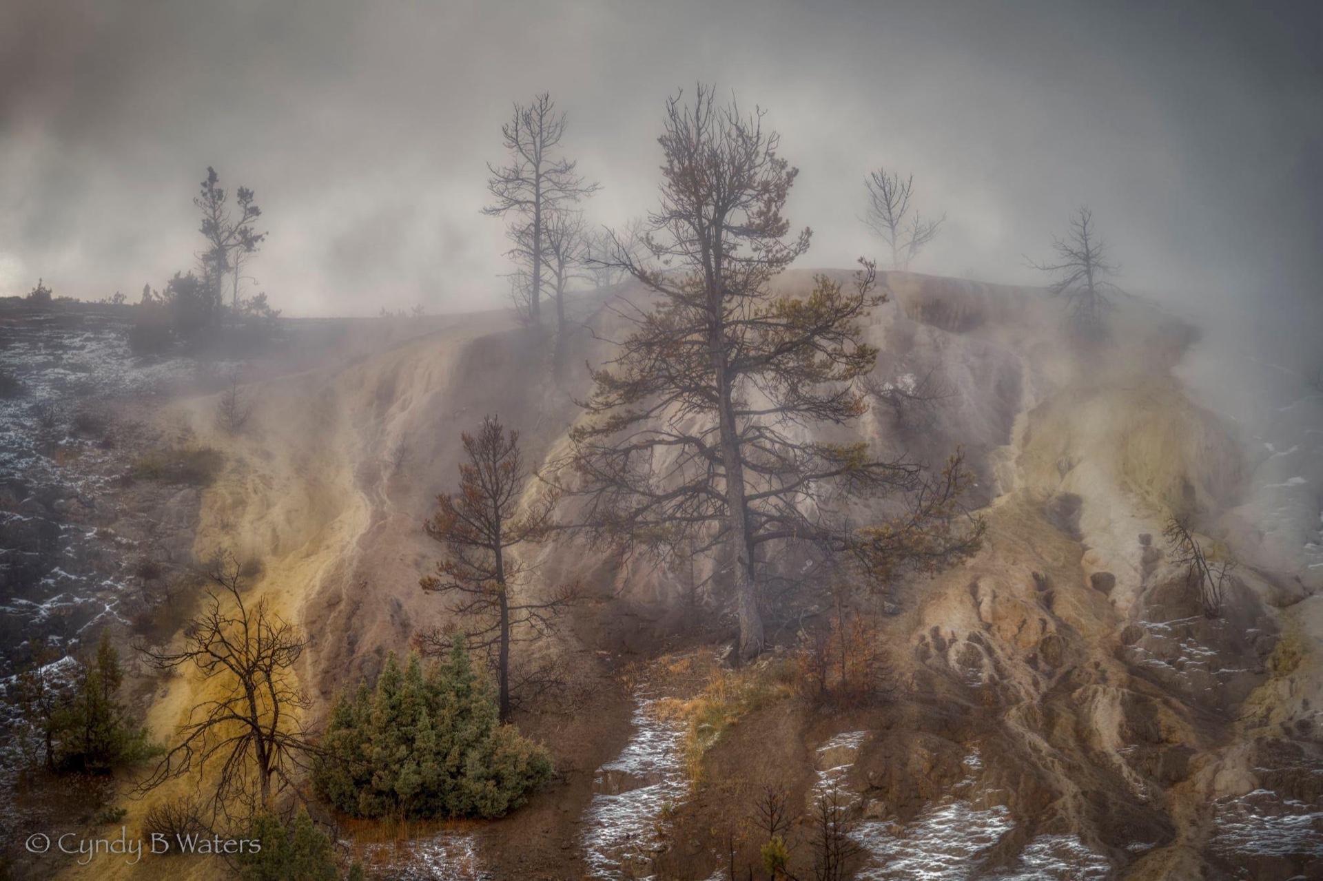 Where Steam and Snow Meets