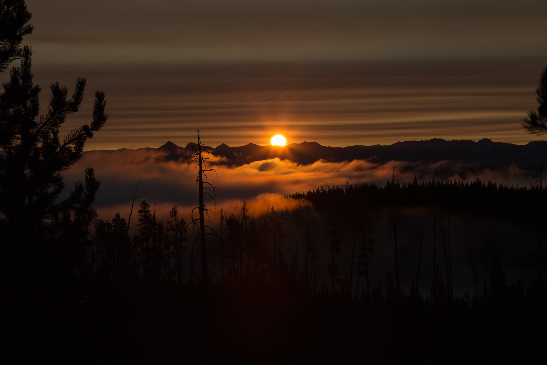 Sunrise in Yellowstone