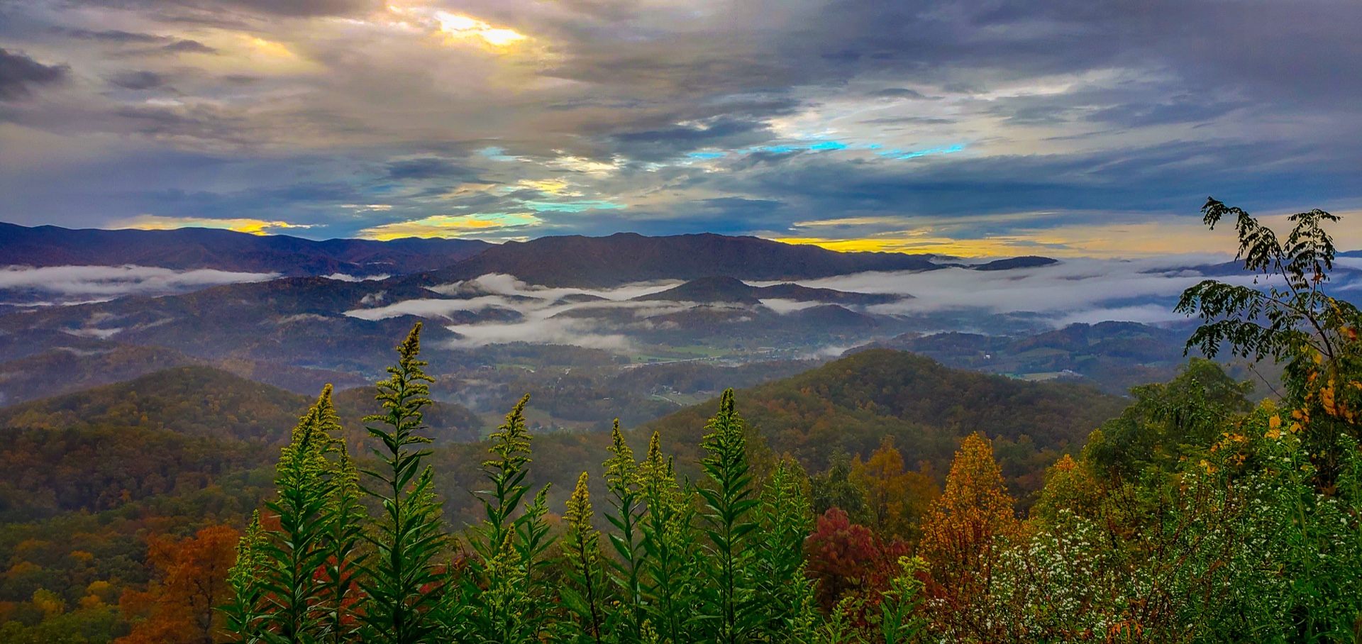 Foothills Parkway, Morning Mist