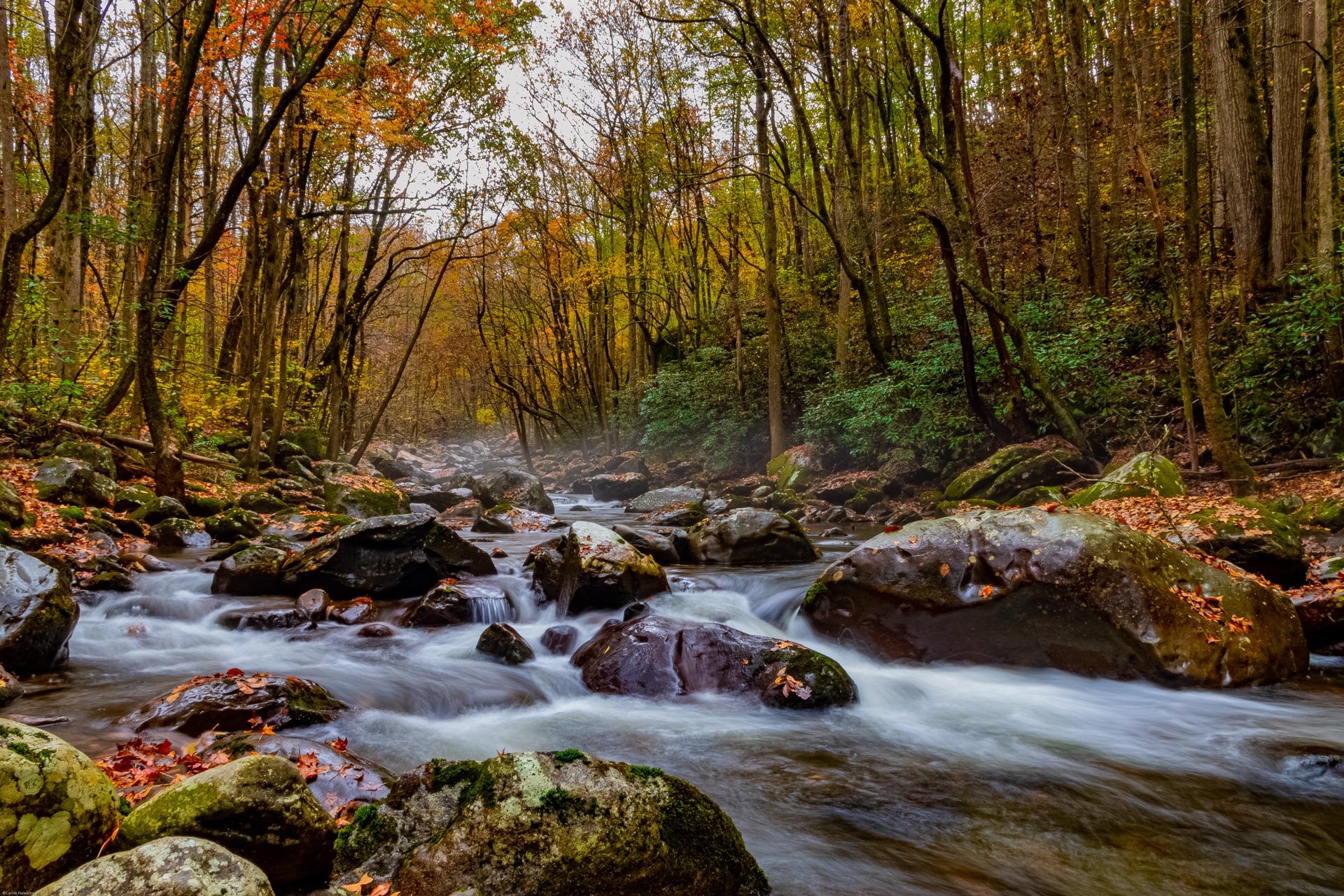Fall In Greenbrier