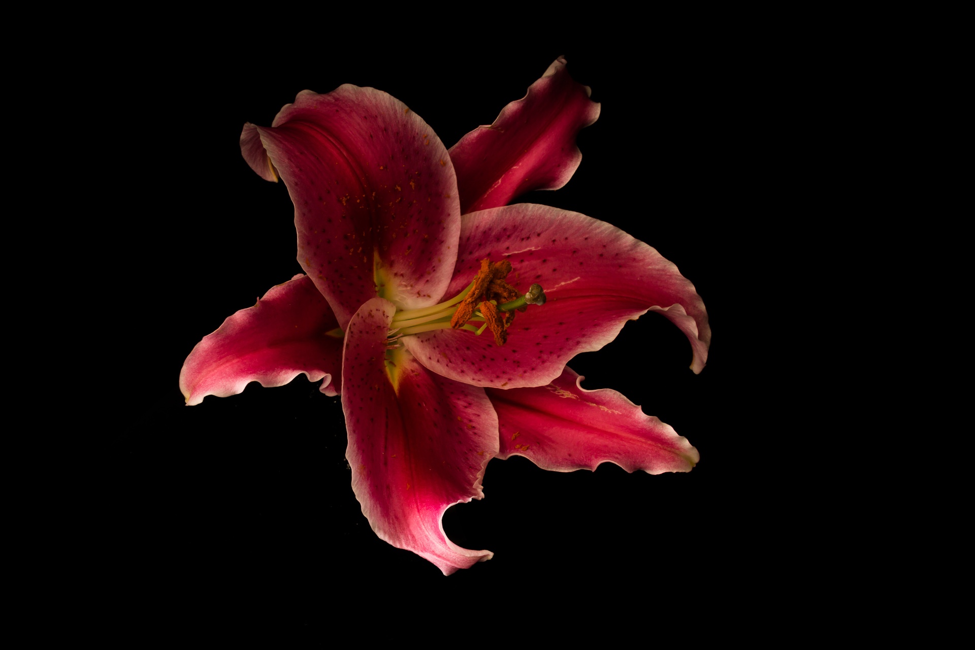 Display in Darkness-1