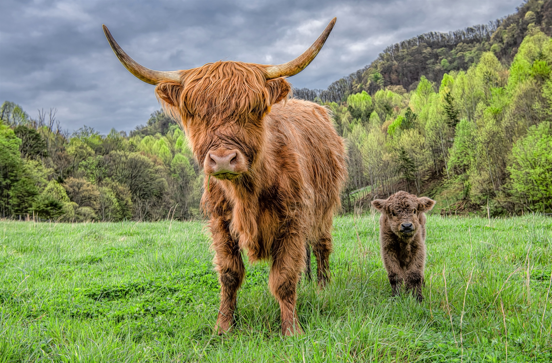 Staying Close To Mom