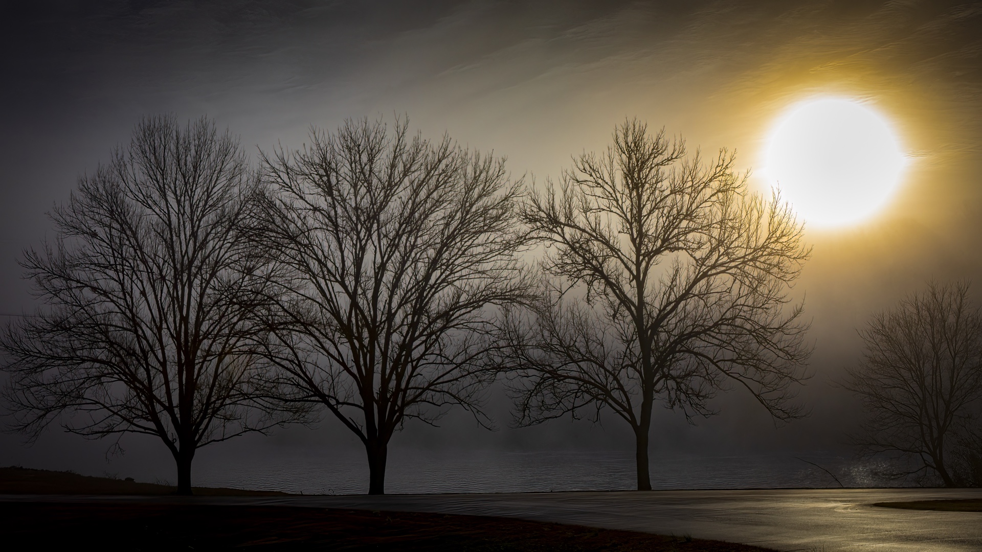 Sun Breaking Through the Fog