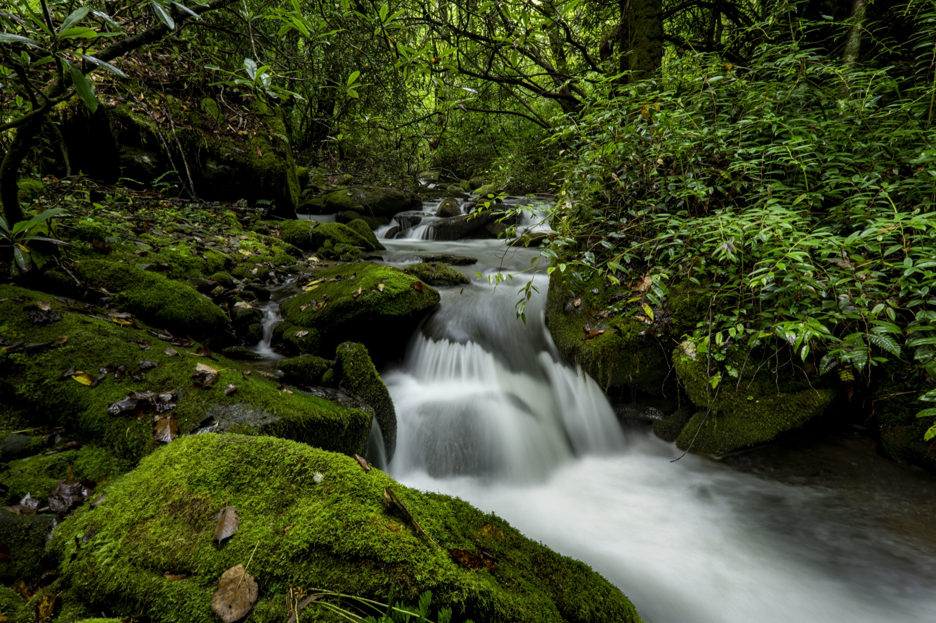 Mingus Creek