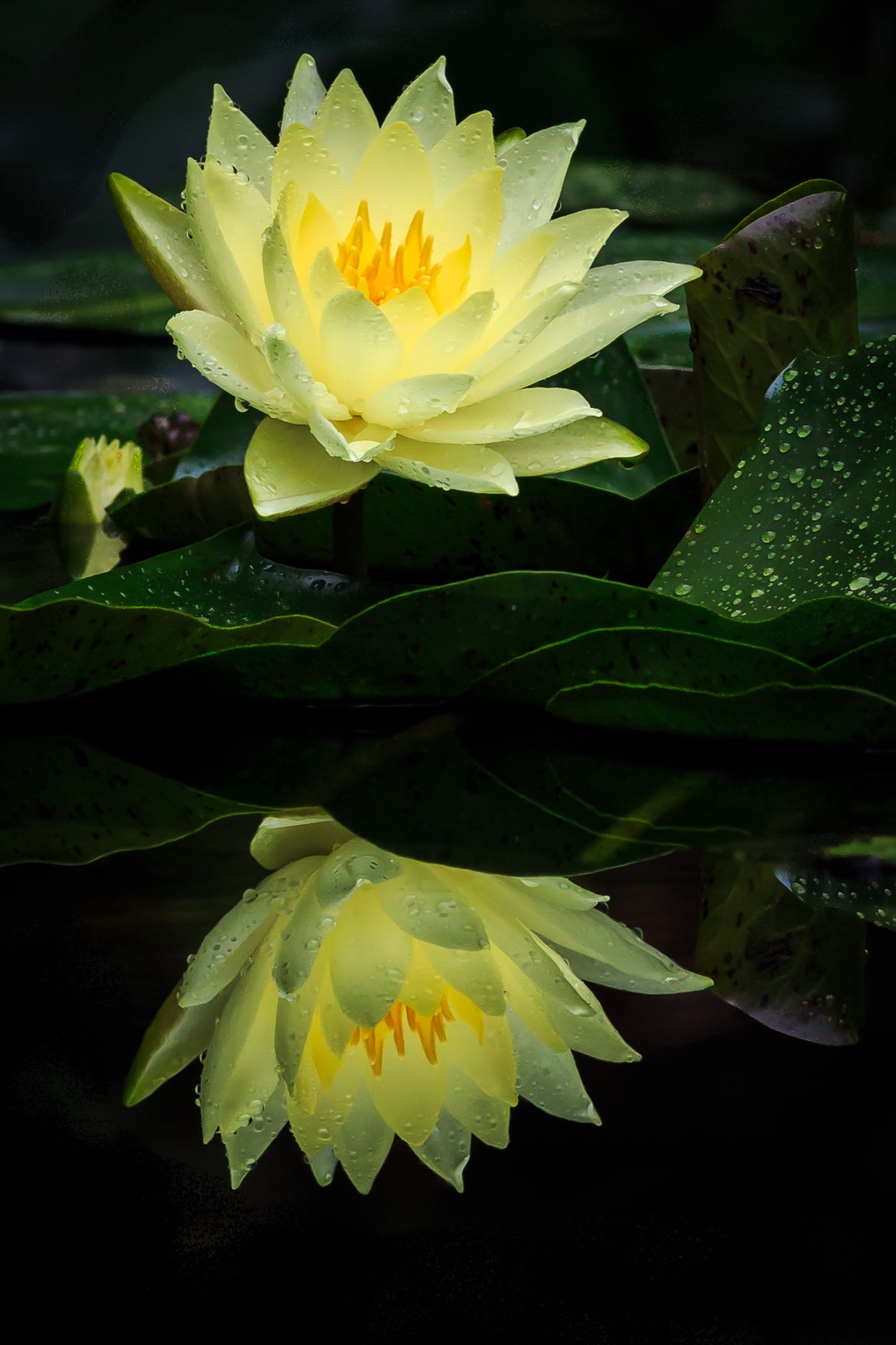 Seeing Double