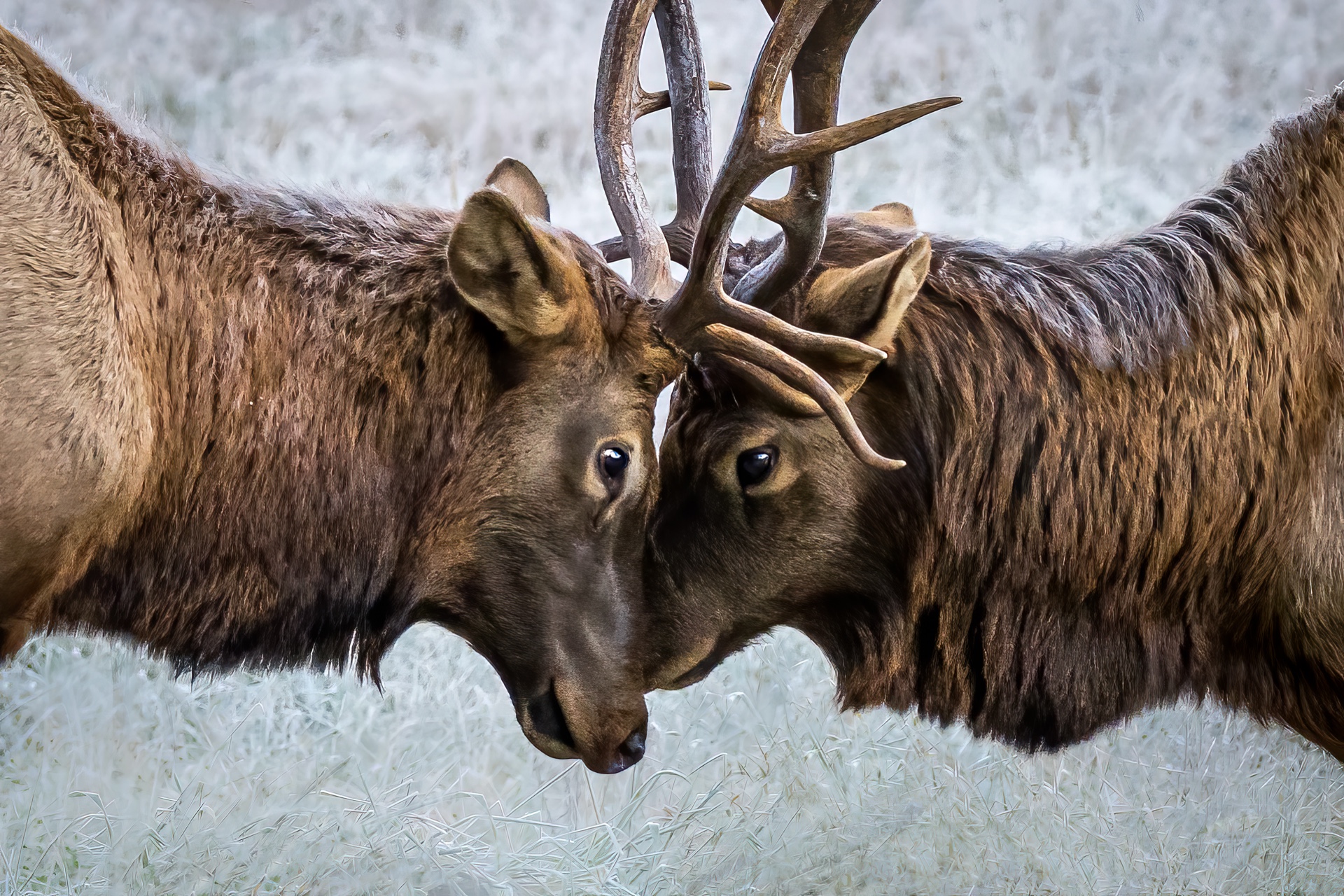 Eye to Eye