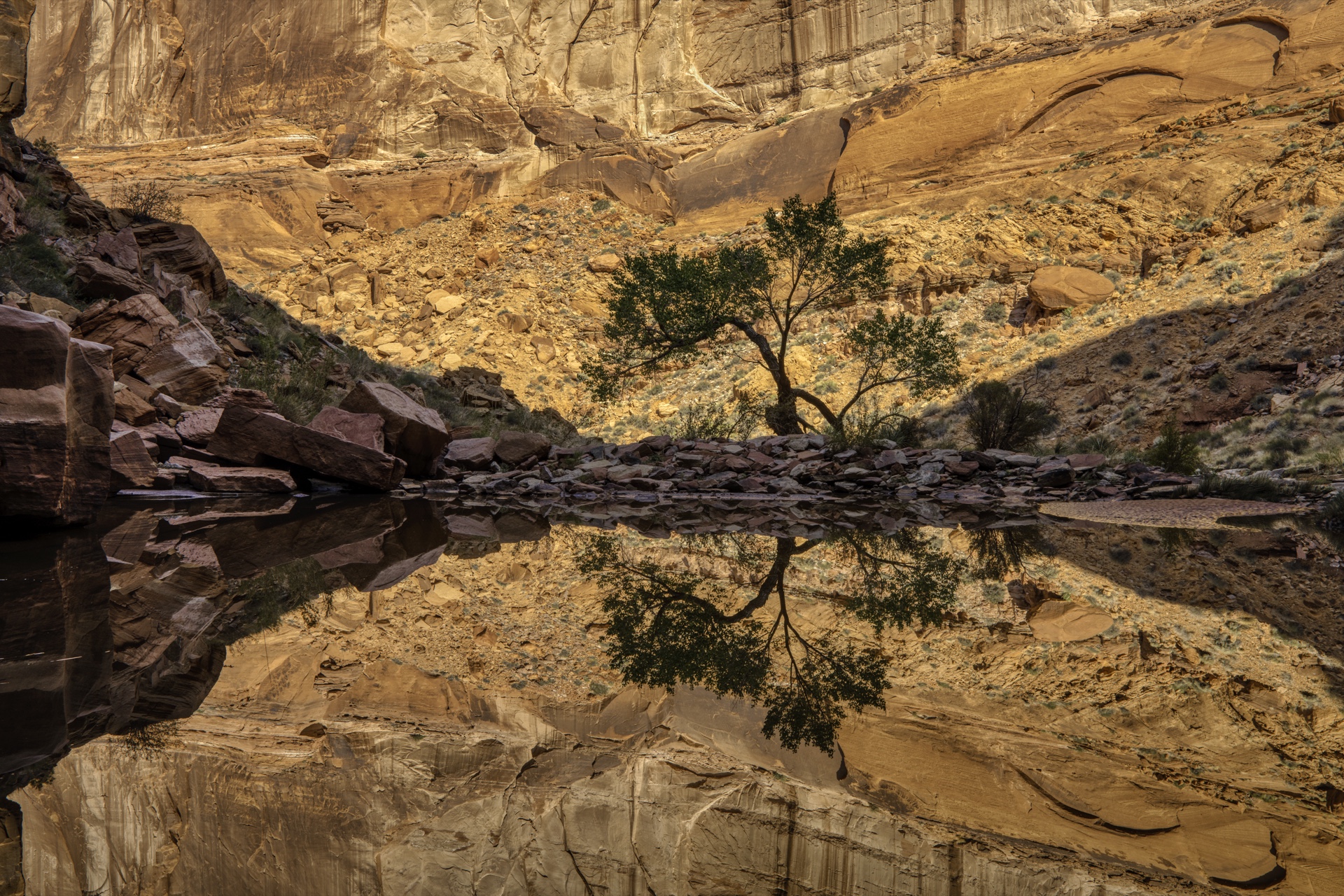 Reflections of Pool Canyon