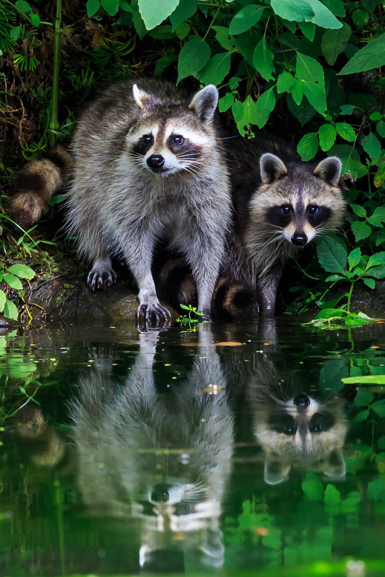 Family Portrait-1