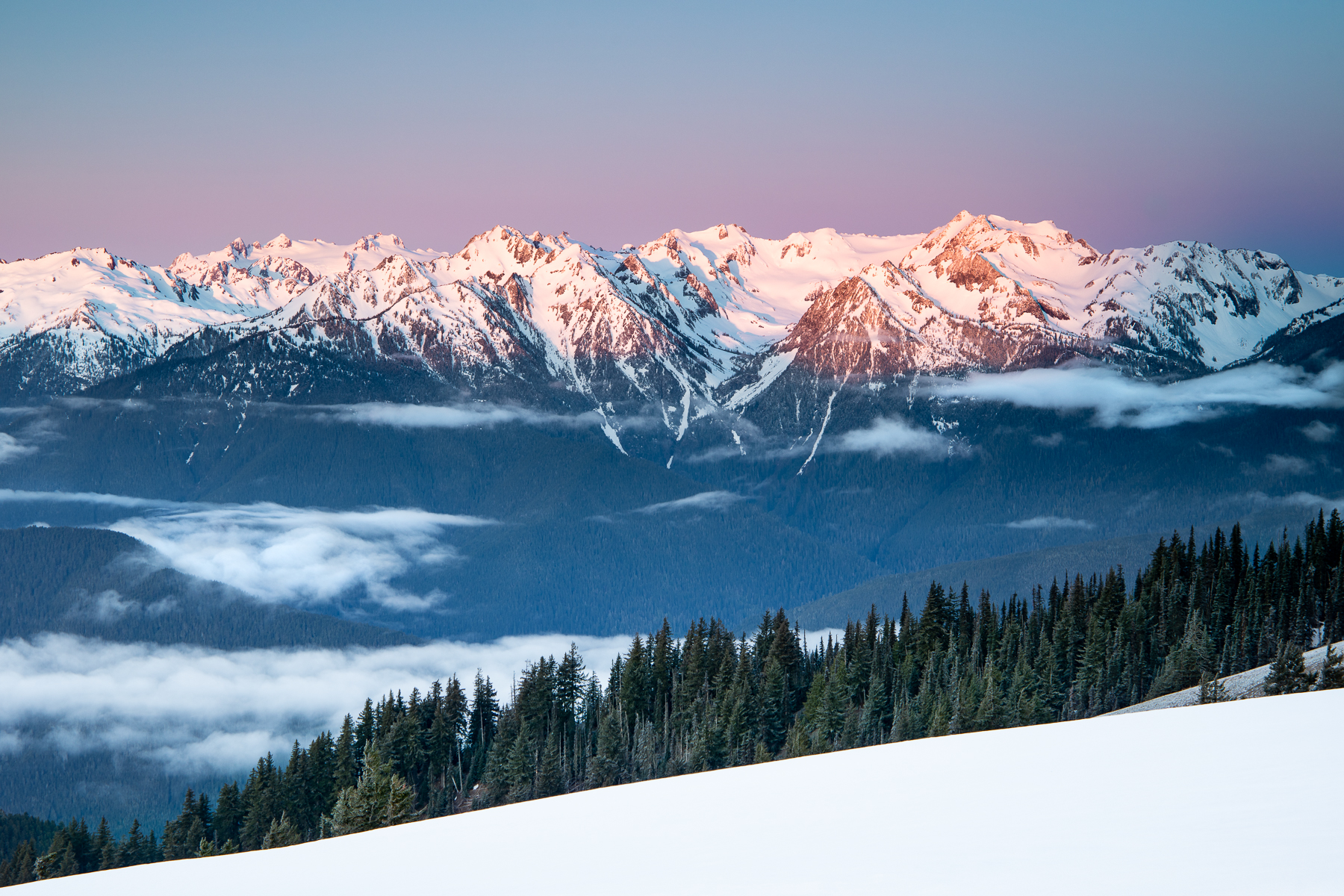Olympic Sunrise