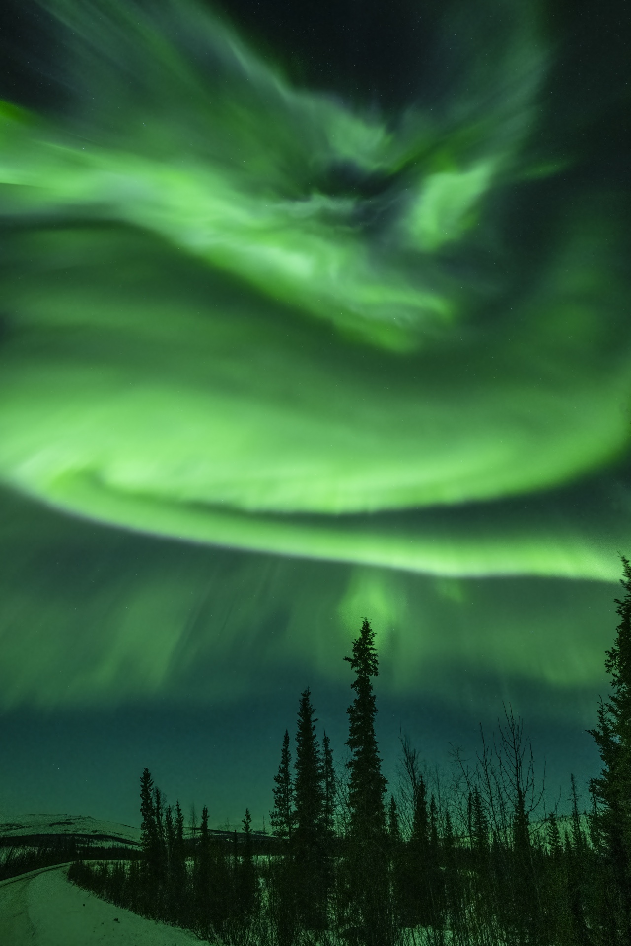Aurora Dragon