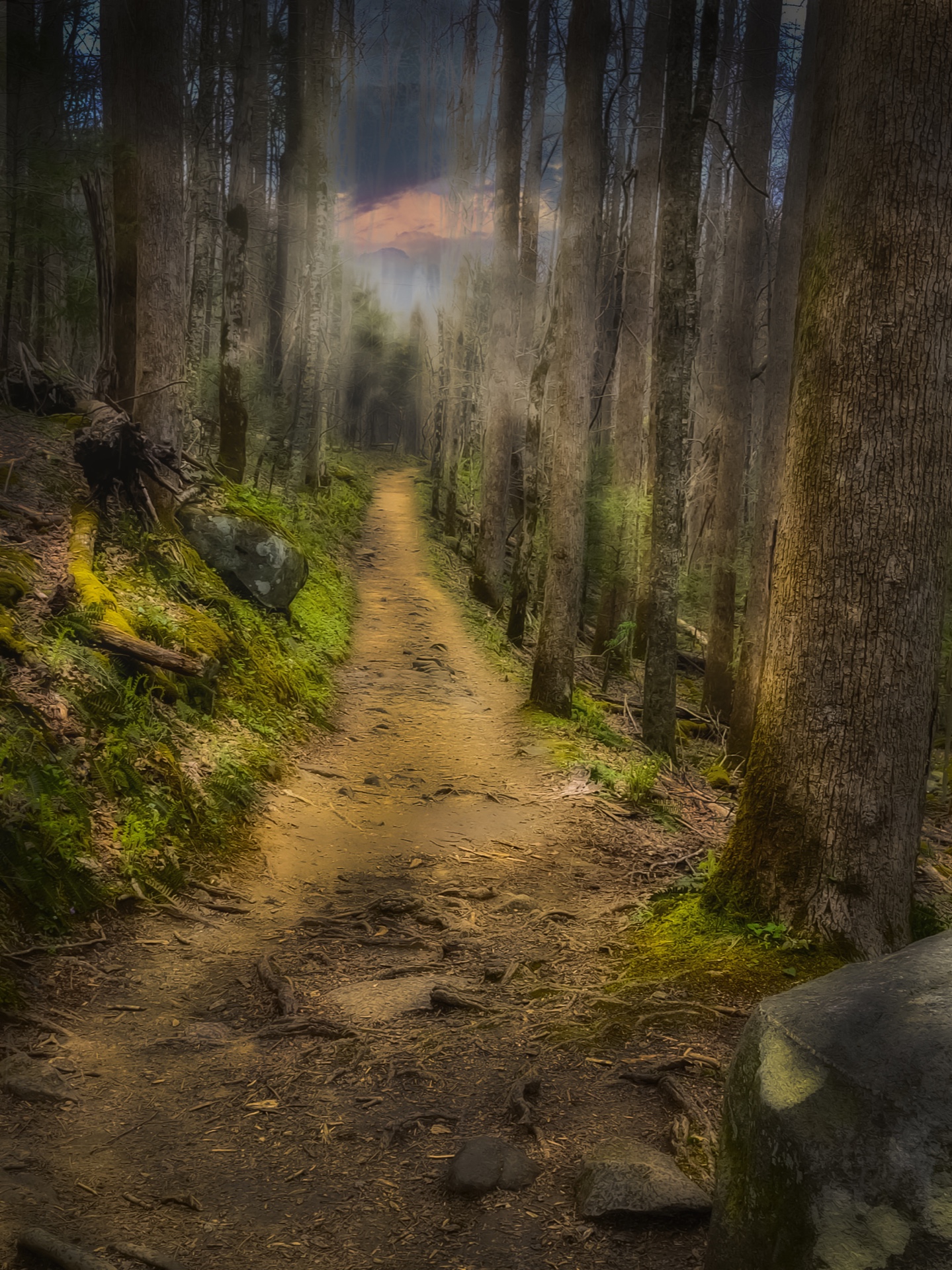 Porter's creek trail