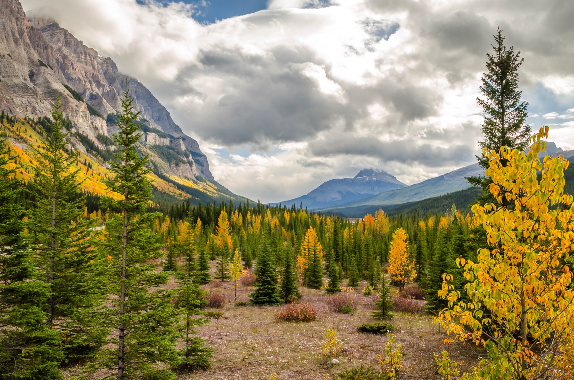 In the Rockies