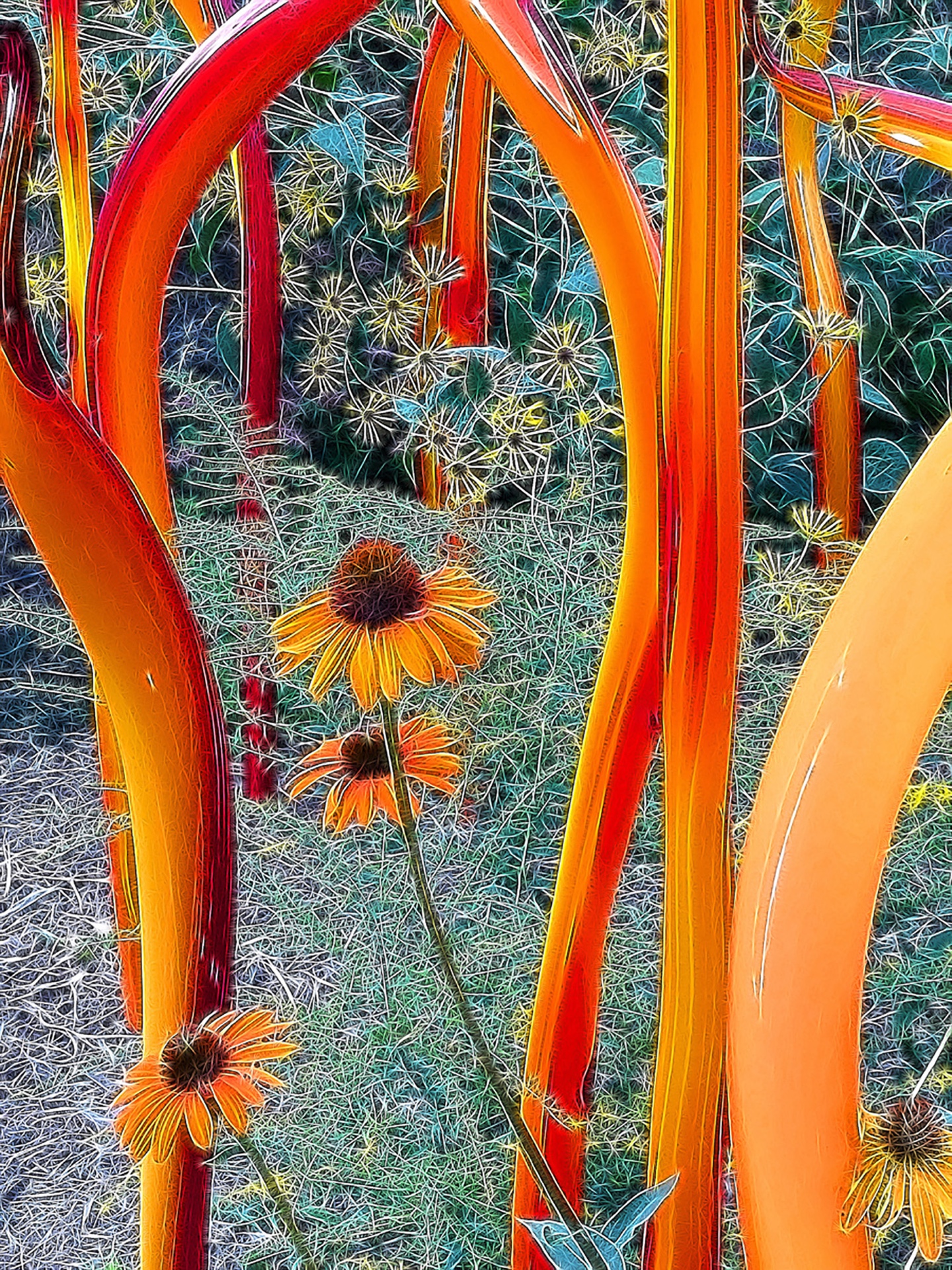 Chihuly Garden at Biltmore