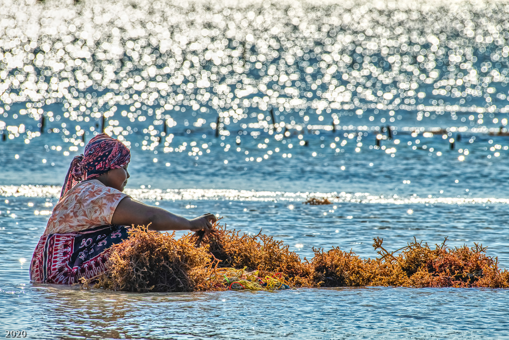 Water Dance
