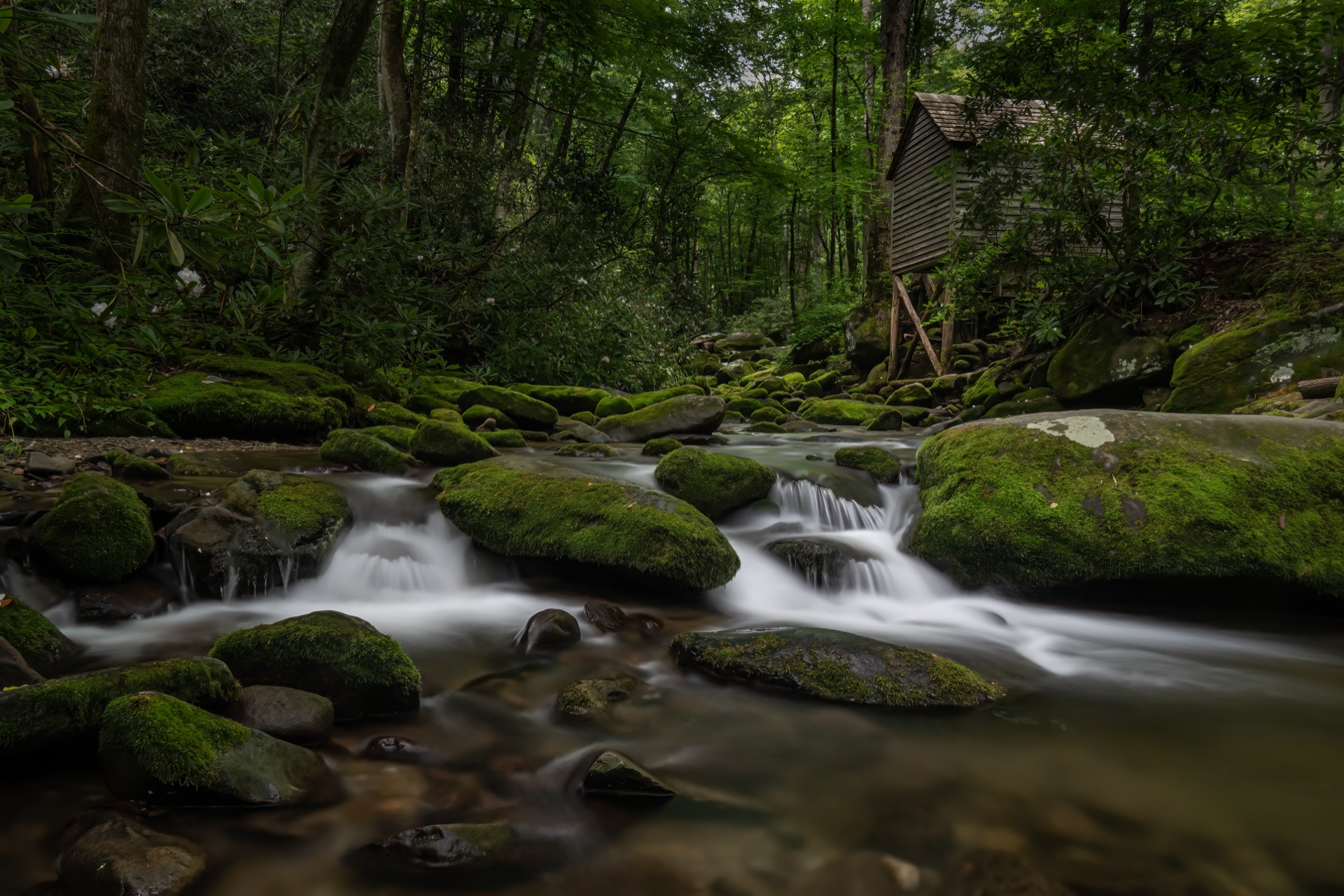 Alfred Reagan's Tub Mill