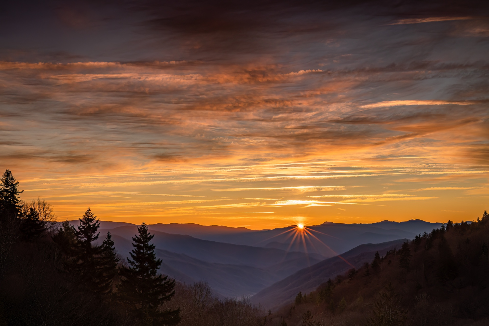 A Grand View
