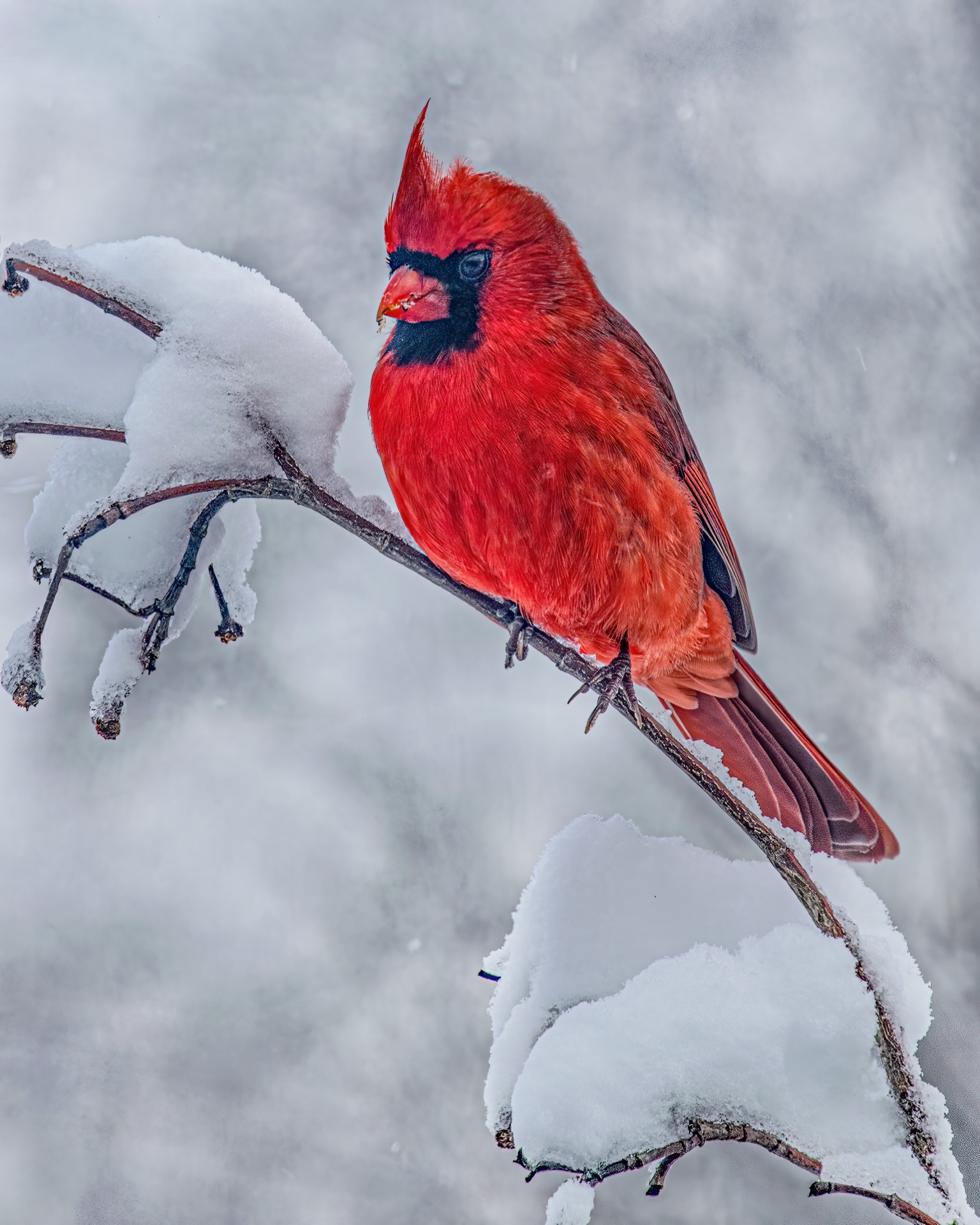 Frosty Feet