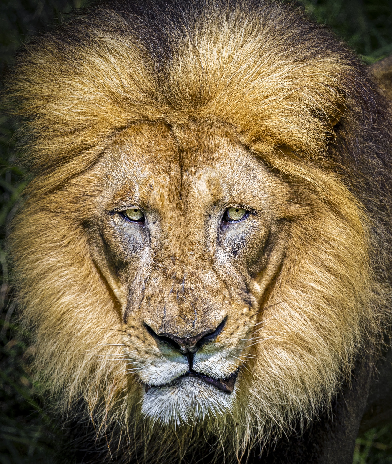 the powerful look