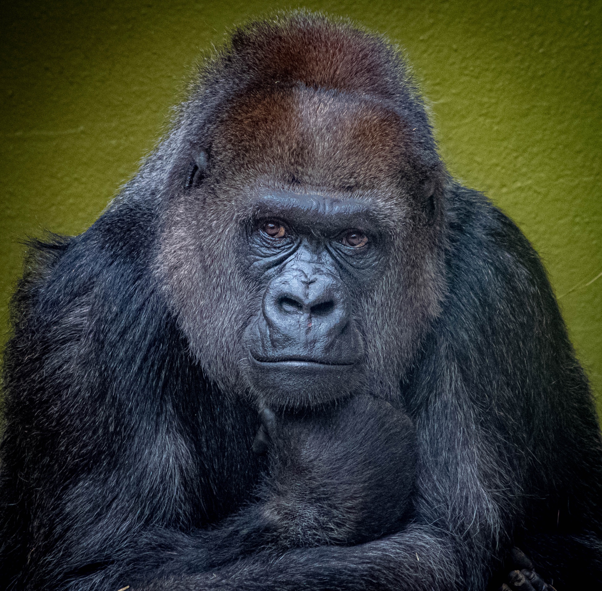 The Thinker