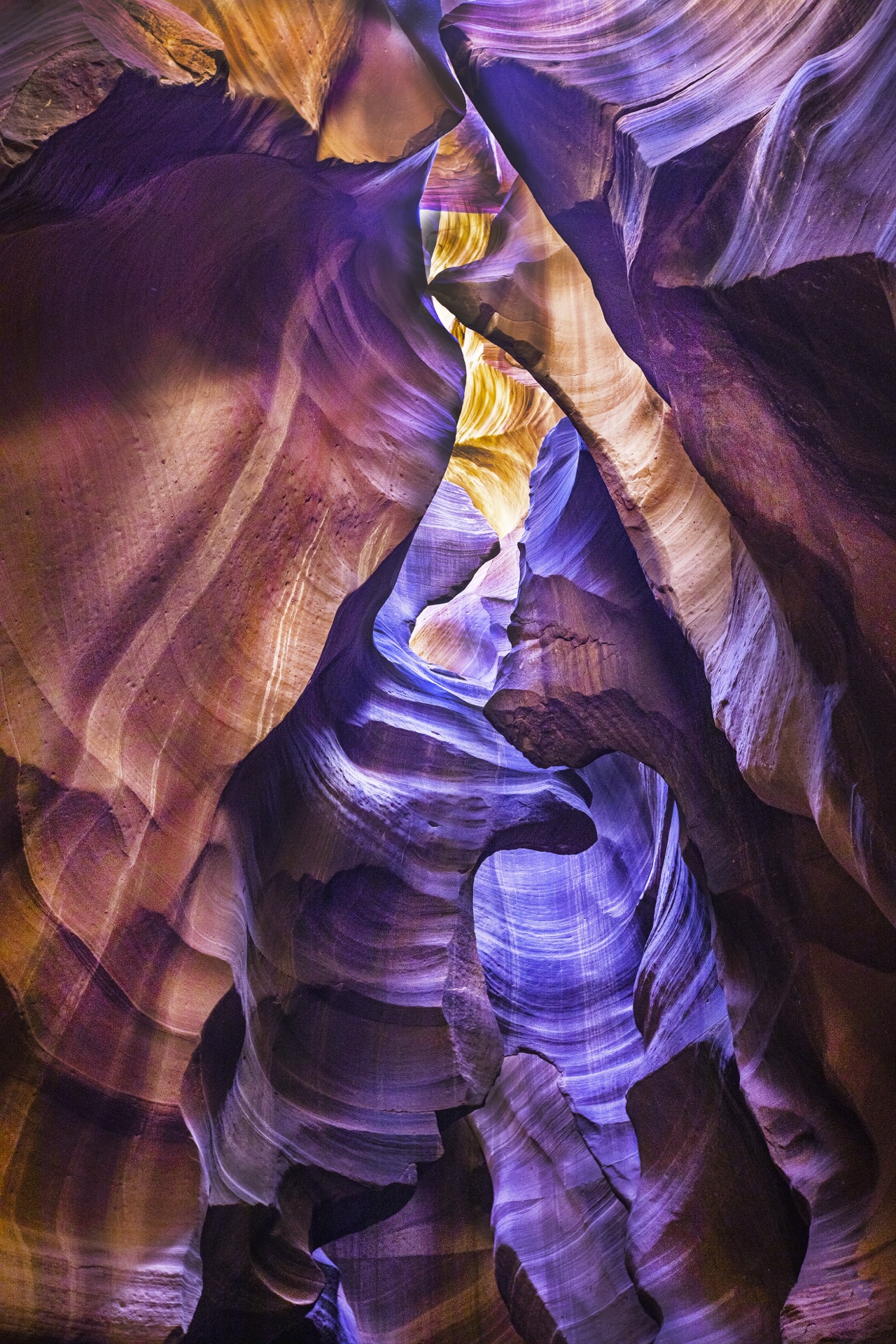 A Symphony of Form and Color