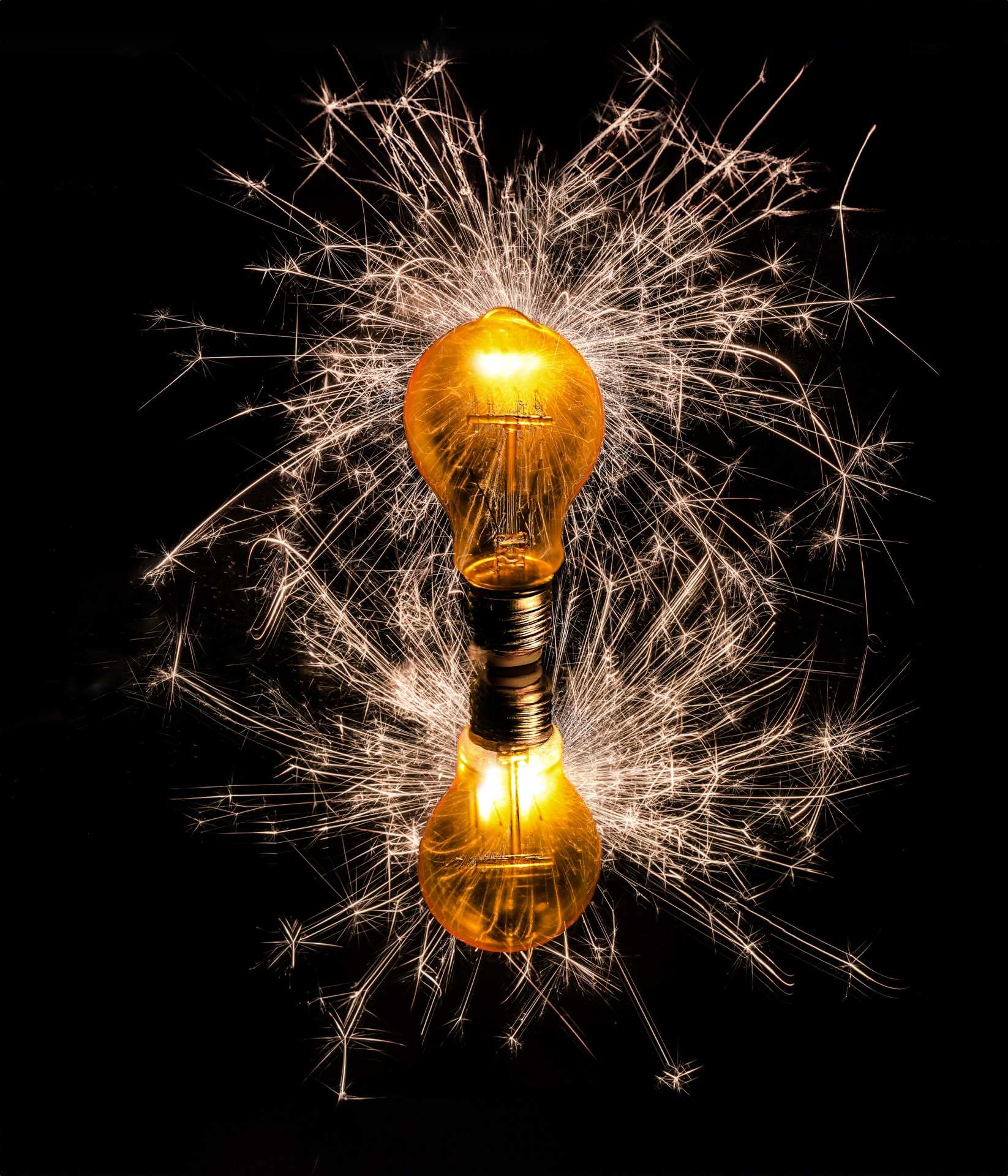 The Sparkling Lights