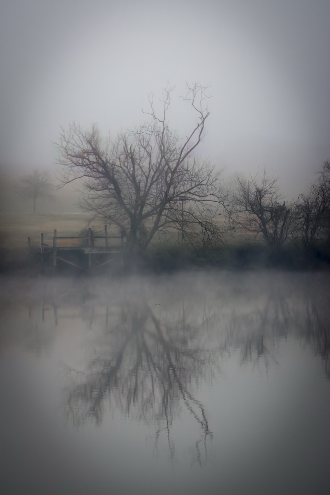 Foggy River Reflection